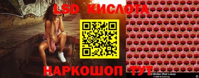 шишки Кинель