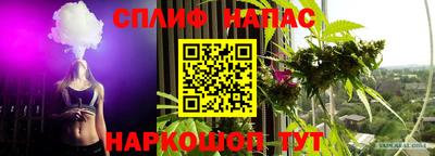 шишки Кинель