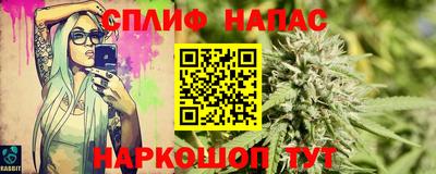 шишки Кинель